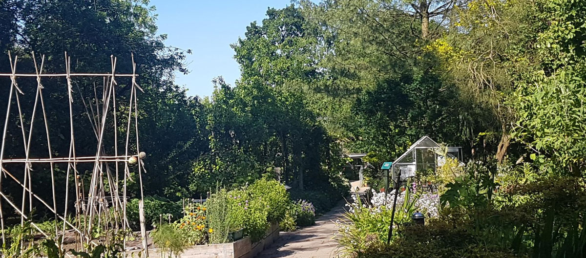 A picture of a working garden in the Summer